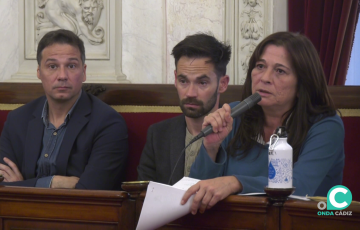 Helena Fernández interviene durante un Pleno en una imagen de archivo
