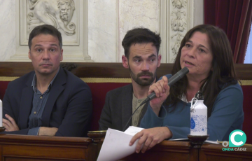 Ediiles de AIG durante un pleno en una imagen de archivo