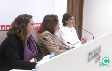 Comparecencia ante los medios deste miércoles con la presentación del informe