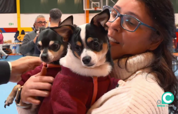 Una de las evacuadas con sus perros en el Pabellón de Ronda