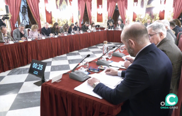 Un momento de la sesión plenaria celebrada este miércoles