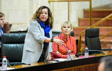 Carmen Castillo durante una intervención en el Parlamento de Andalucía