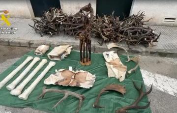 Imagen de la incautación 