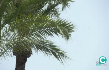 En la capital, los vientos serán moderados, con rachas de 25 km/h