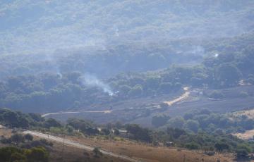 Medios aéreos trabajan en la zona de la Sierra de Cádiz afectada