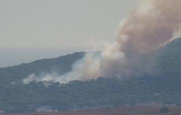 Imagen aérea de la zona del siniestro