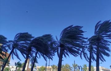Se prevé que las rachas de viento alcance los 80 km/h