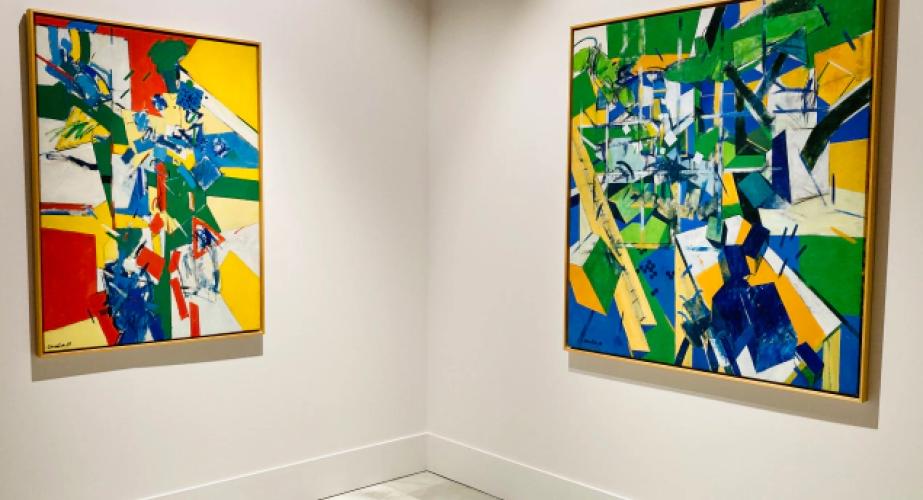 Nueva colección municipal de arte iberoamericano