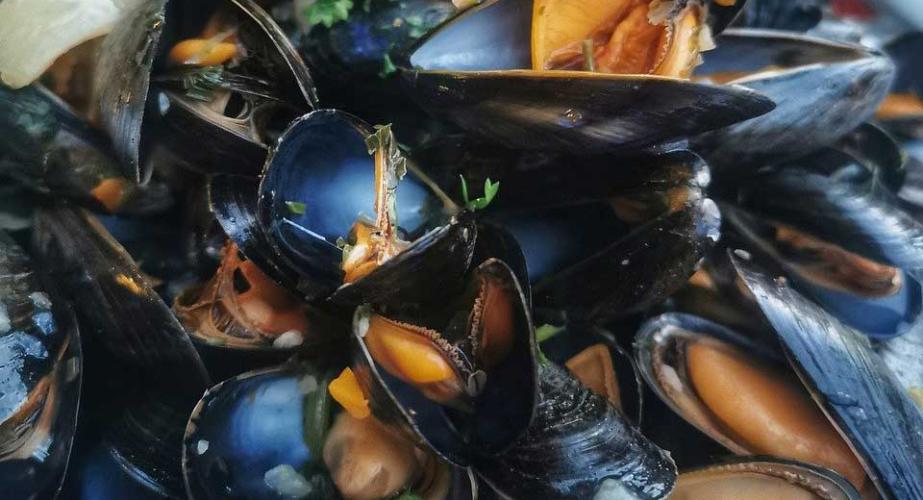 Mejillonada 2026