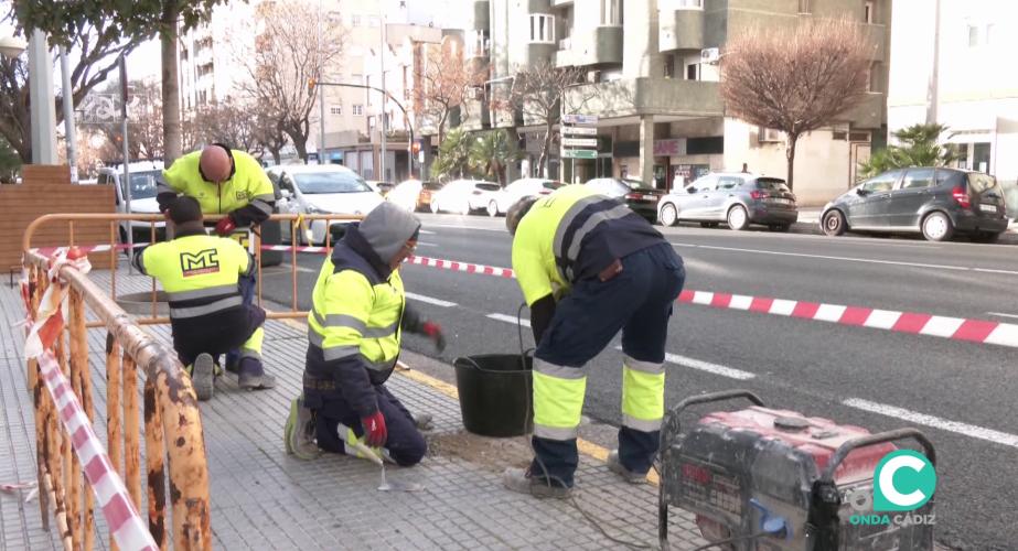 Operarios durante los primeros trabajos en la jornada de este lunes