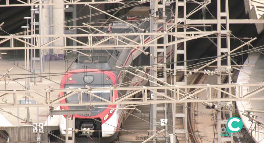 Vagones accediendo a la estación de la capital gaditana