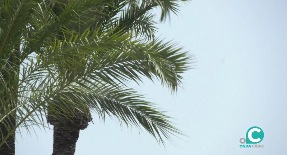 En la capital, los vientos serán moderados, con rachas de 25 km/h