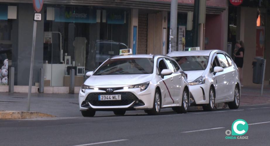 Vehículos a la espera de clientes en una parada de la capital gaditana