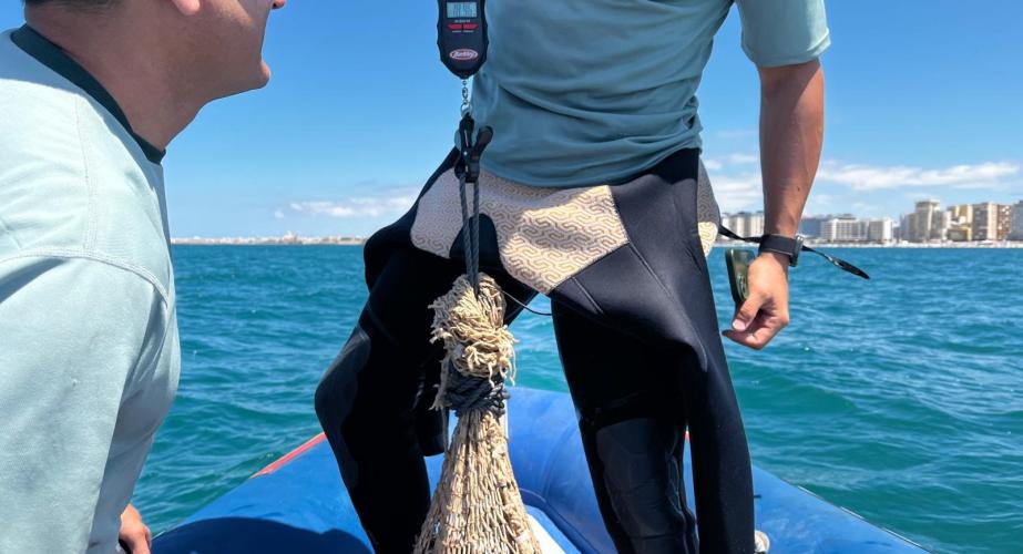 La Guardia Civil en el momento del hallazgo de las especies. 