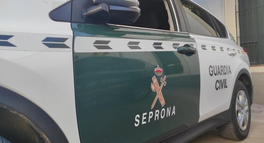 Coche del Servicio de Protección de la Naturaleza (Seprona)