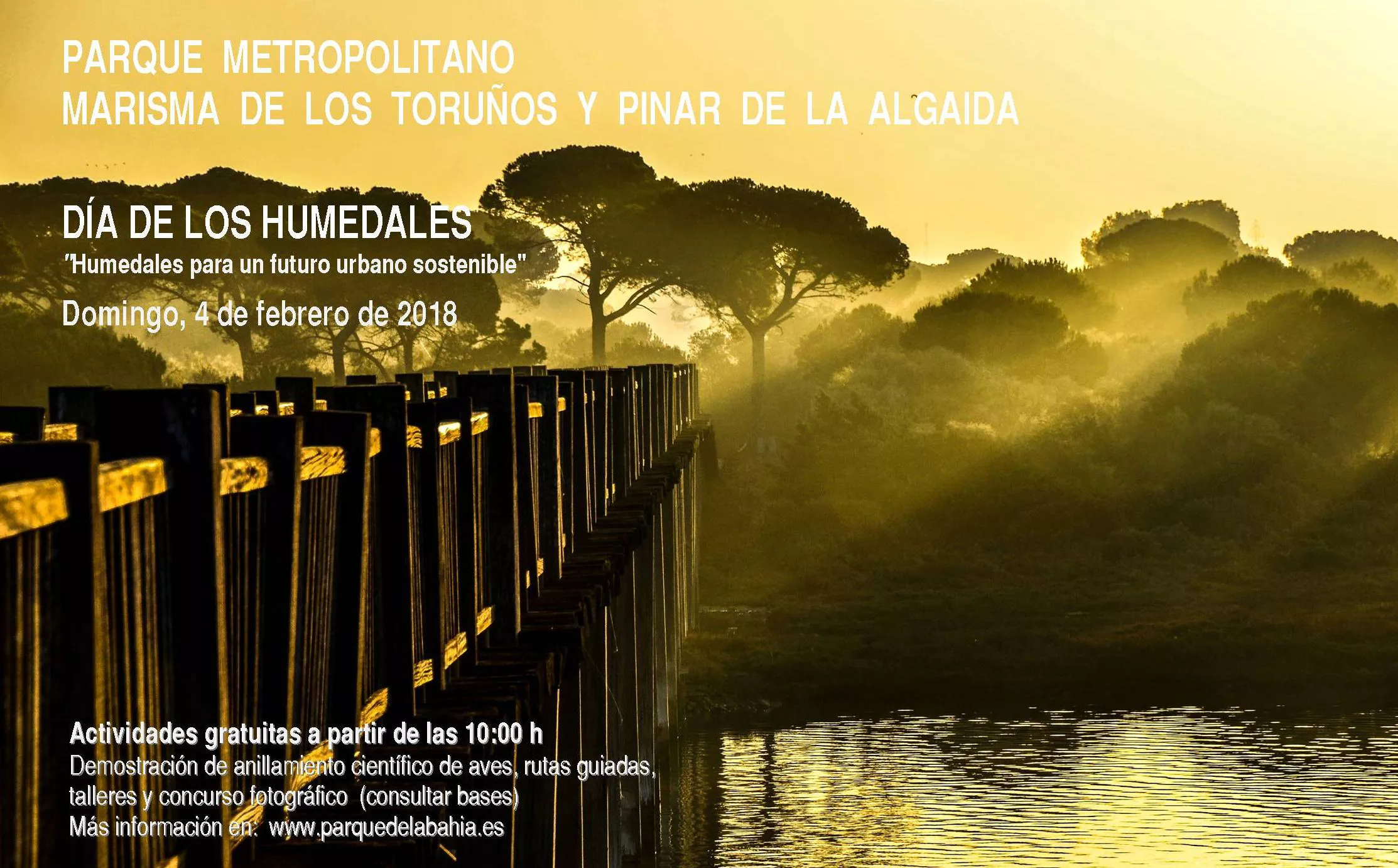 CARTEL DMH 2018 (1).jpg