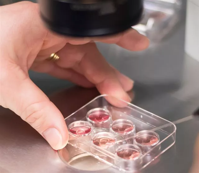 noticias cadiz investigacion_0.jpg