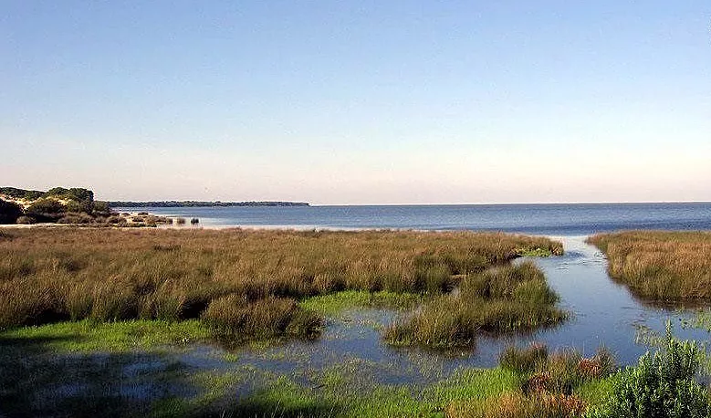 noticias cadiz doñana_0.jpg