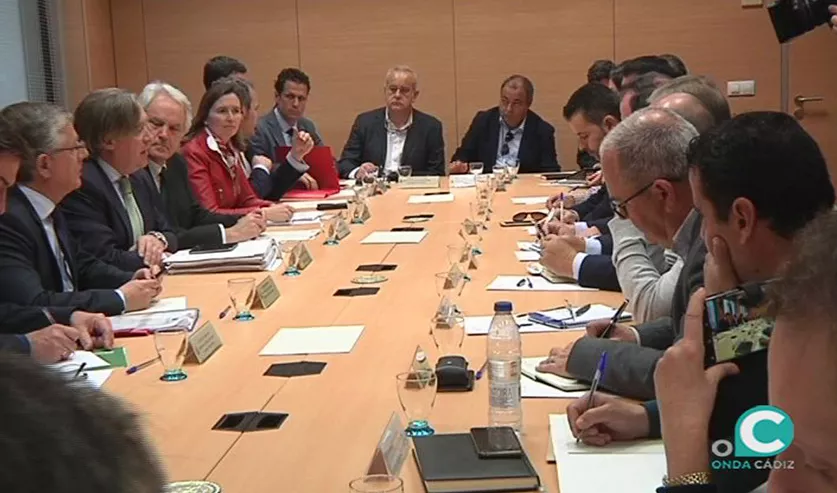 noticias cadiz pesca sardina ok.jpg