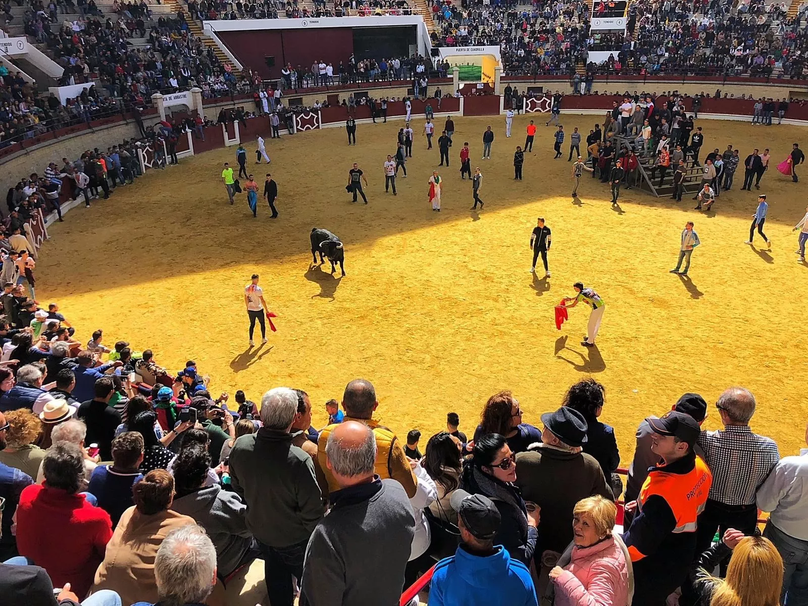 noticias cadiz toro embolao los barrios.jpg