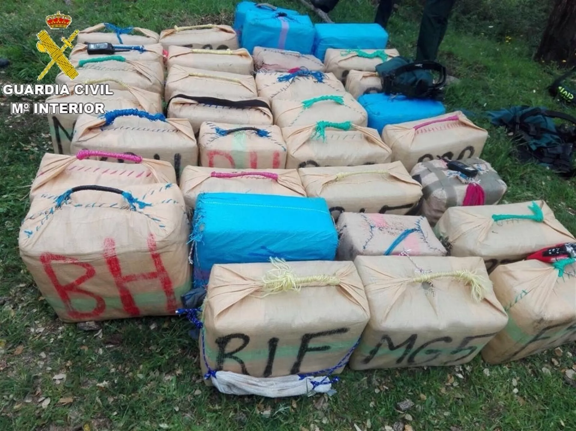 noticias cadiz alijo hachis_1.jpg