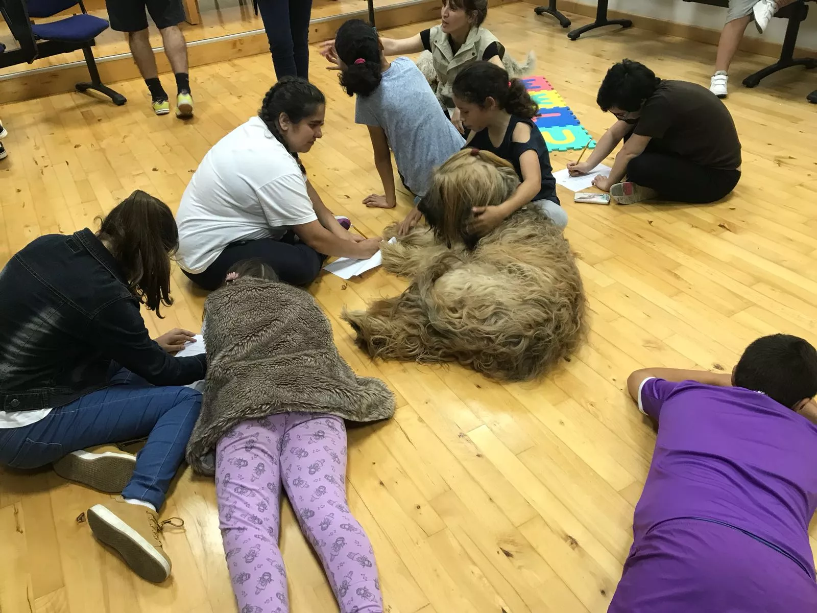 noticias cadiz plan lector.jpg