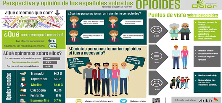 noticias cadiz uca ipioides.jpg