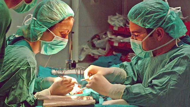 noticias cadiz trasplantes1.jpg