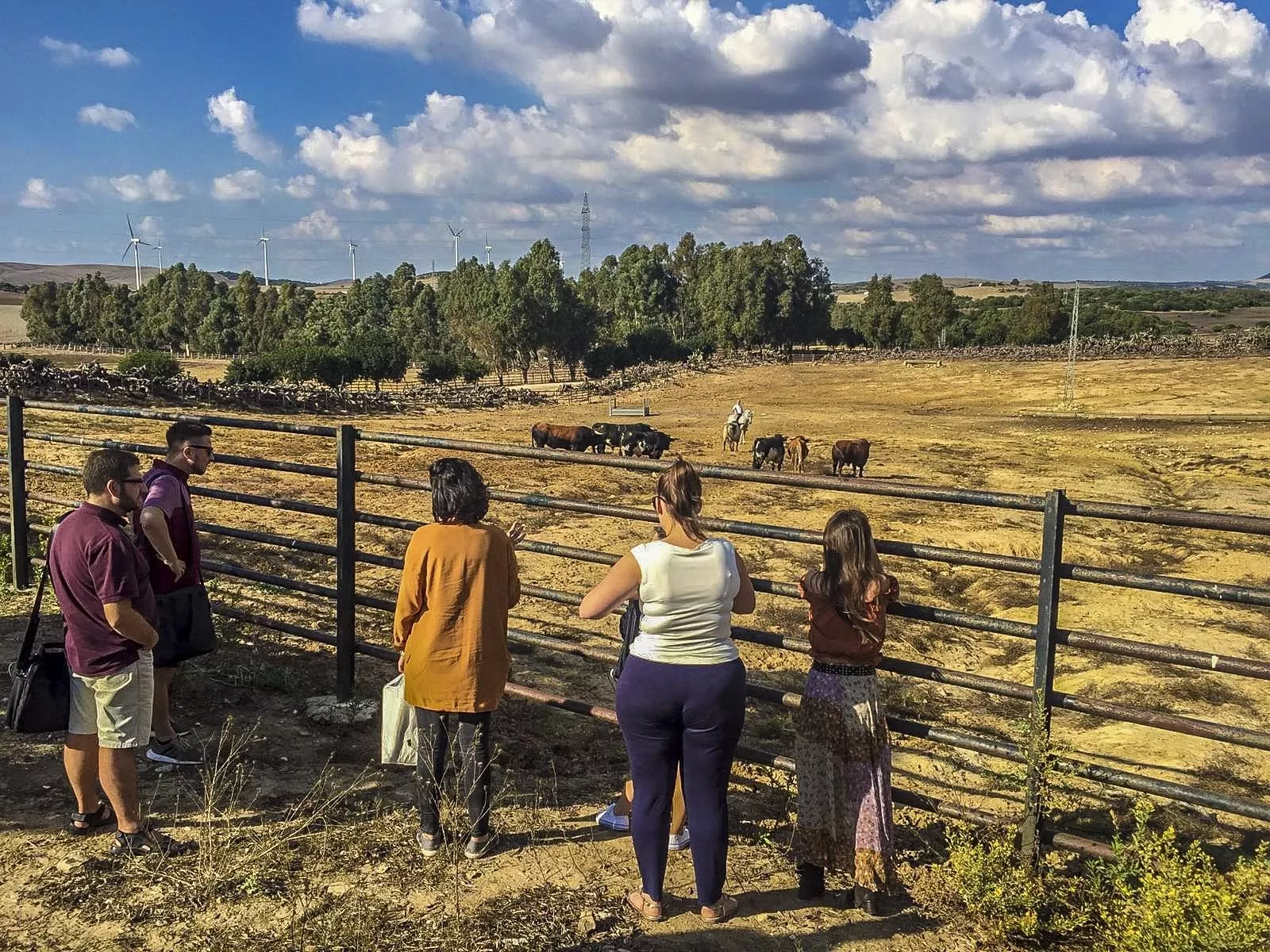 noticias cadiz polacos turismo.jpg