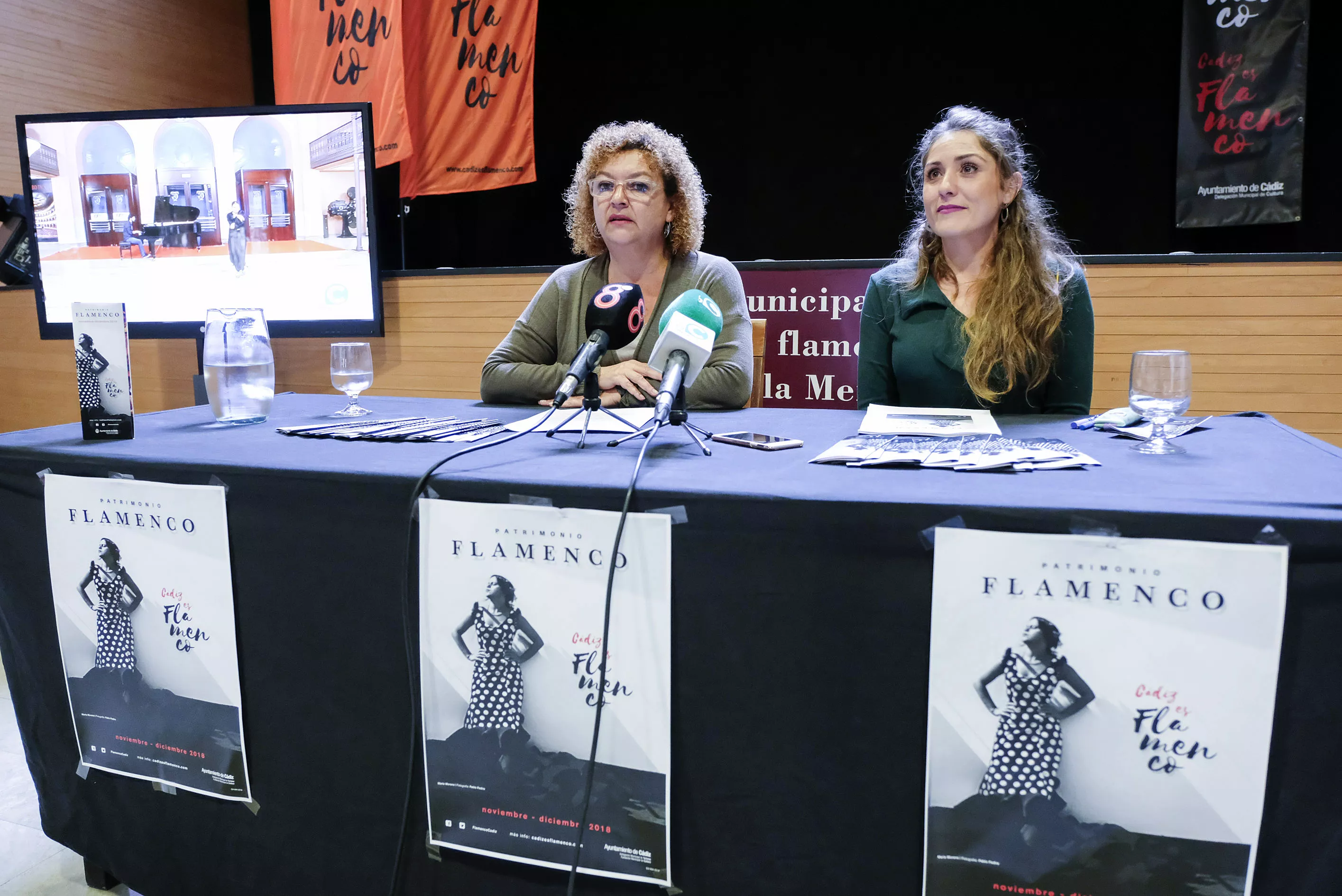 noticias cadiz presentación programación centro de arte flamenco-002.jpg