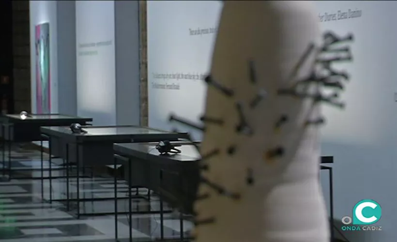 noticias cadiz expo viento de levante.jpg