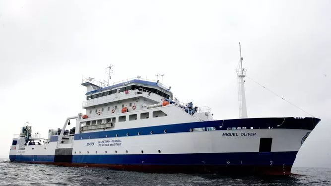 noticias cadiz Miguel Oliver.jpg