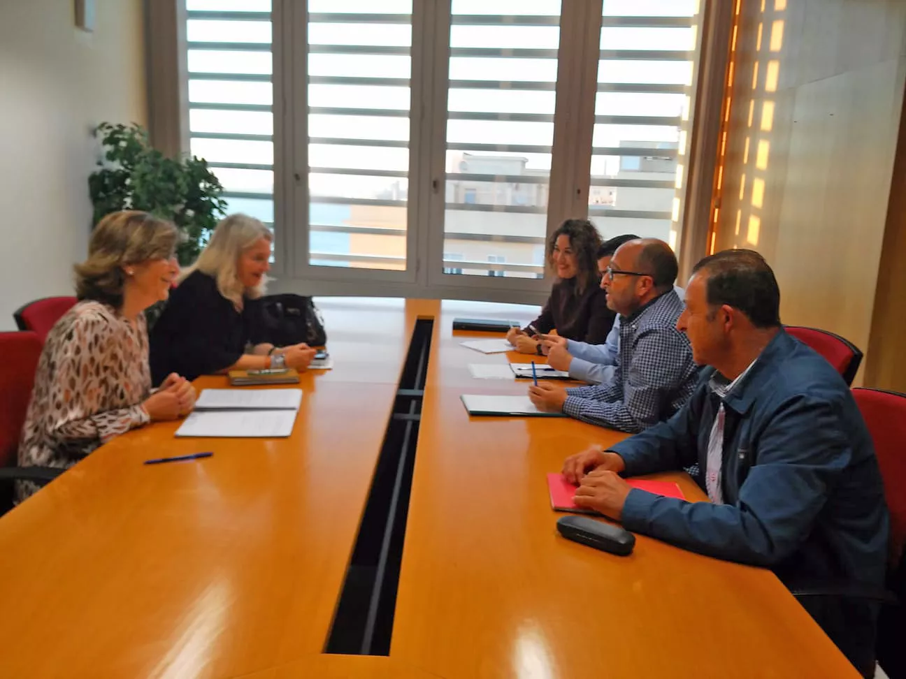 noticias cadiz  Reunión Mercedes Colombo Con Plataforma A-389.jpg