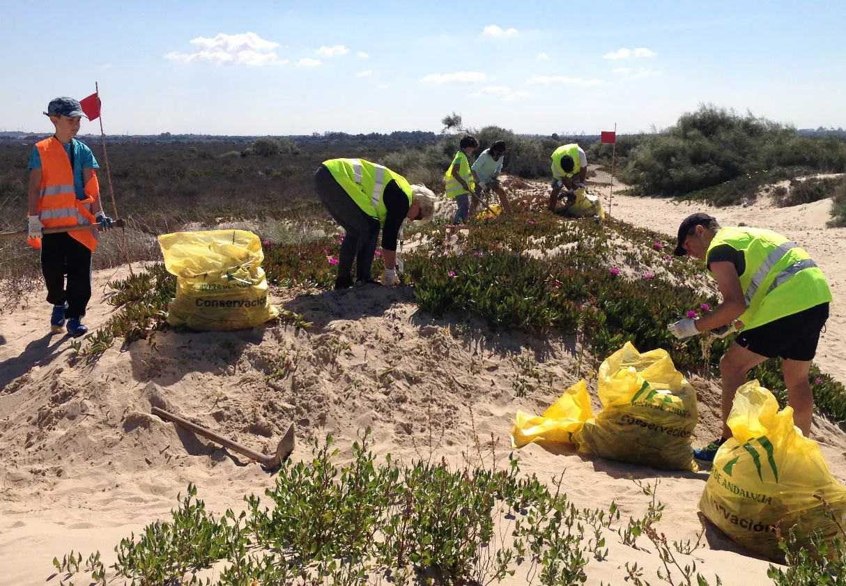 noticias cadiz Voluntarios Toruños 2_0.jpeg