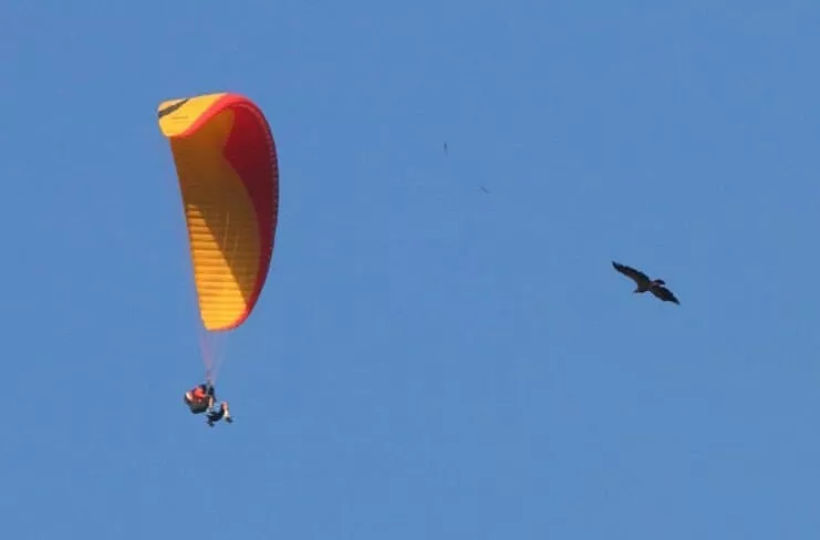 noticias cadiz algodonales_5.jpg