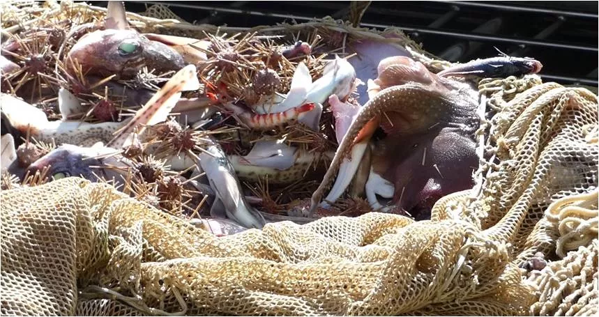 noticias cadiz raya.jpg