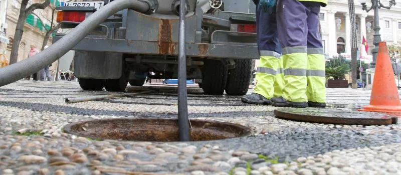 noticias cadiuz deasinsectacion .jpg