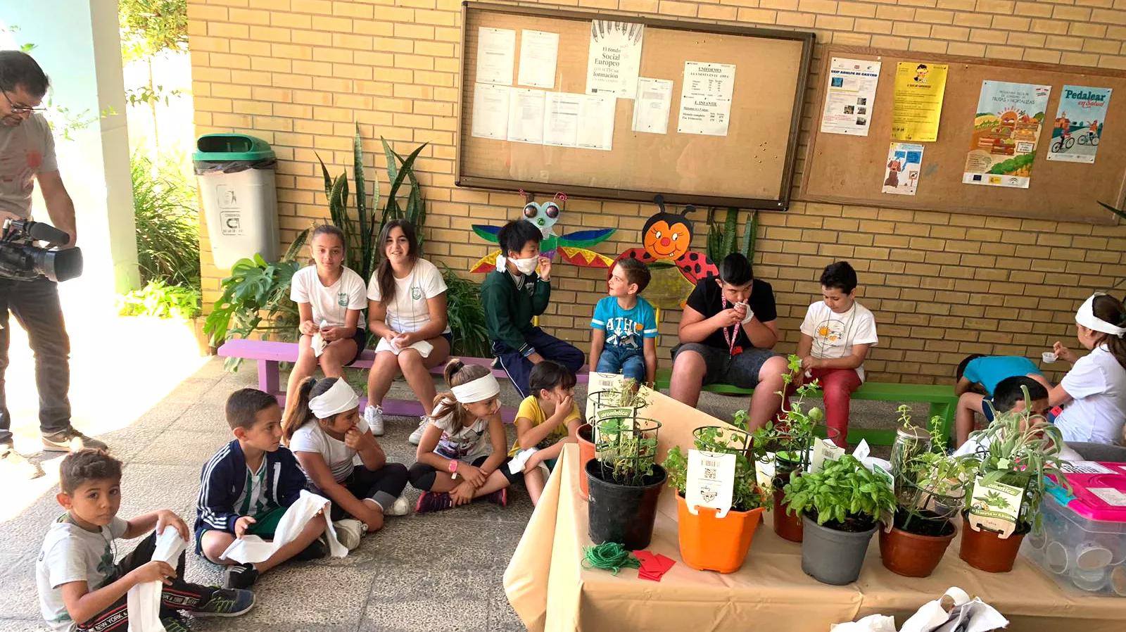 noticias cadiz MUSE.jpg