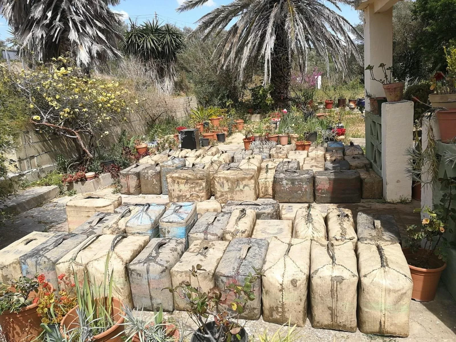 noticias cadiz droga barbate.jpg