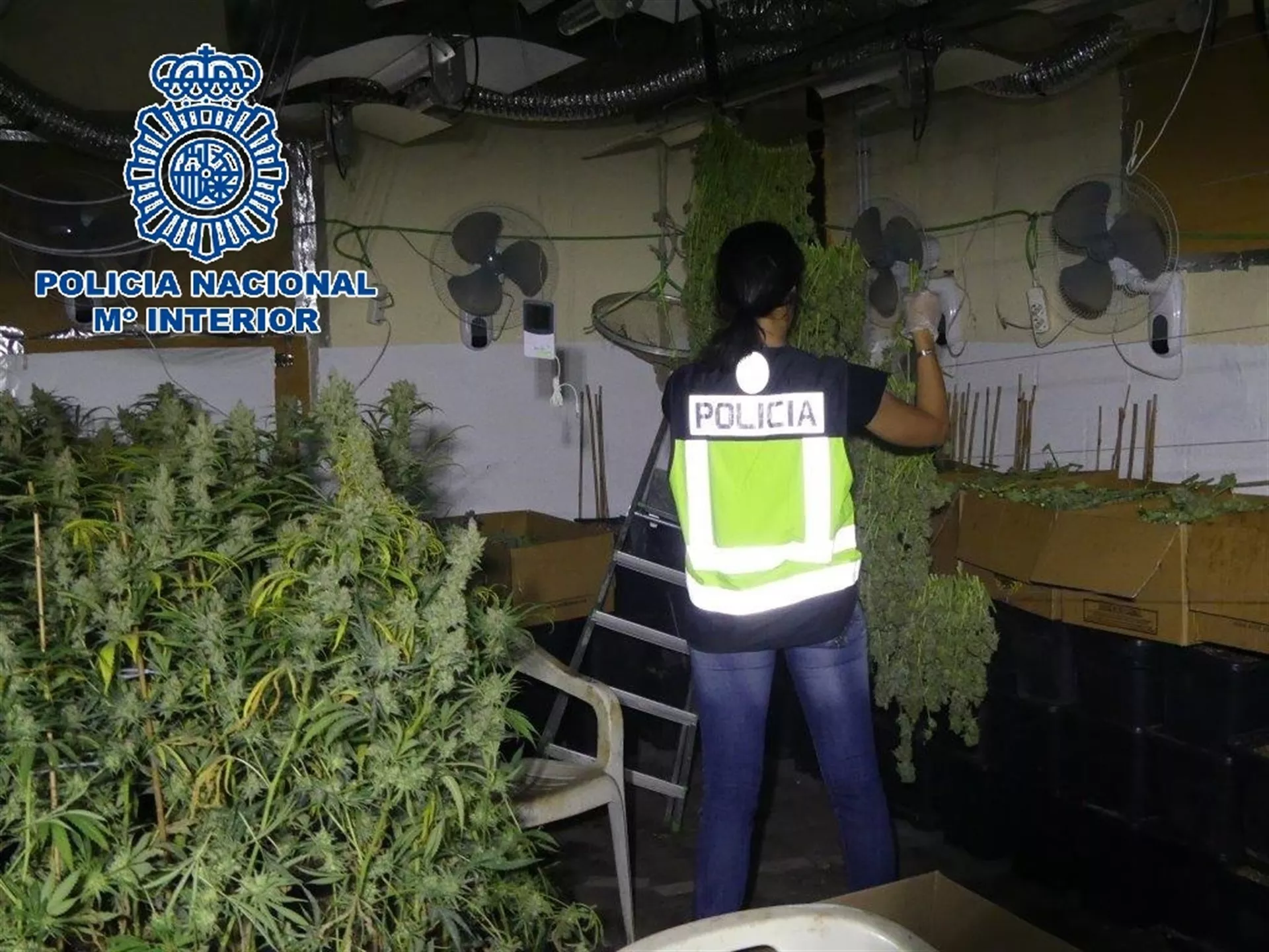 noticias cadiz marihuana sanlucar_0.jpg