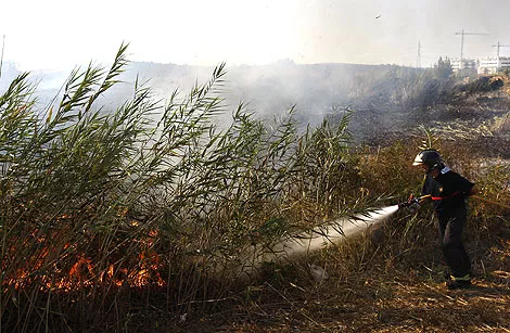 ocadizdigital incendiosforestales_1.jpg