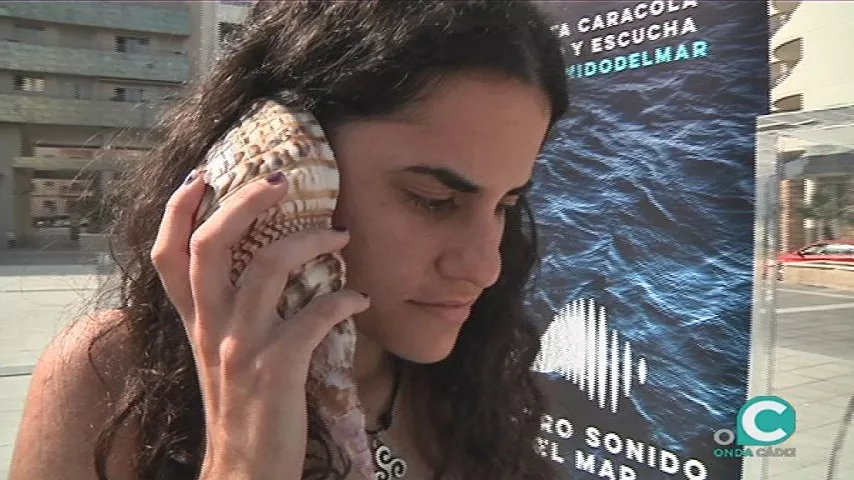 noticias cadiz caracolas otro sonido del mar.jpg