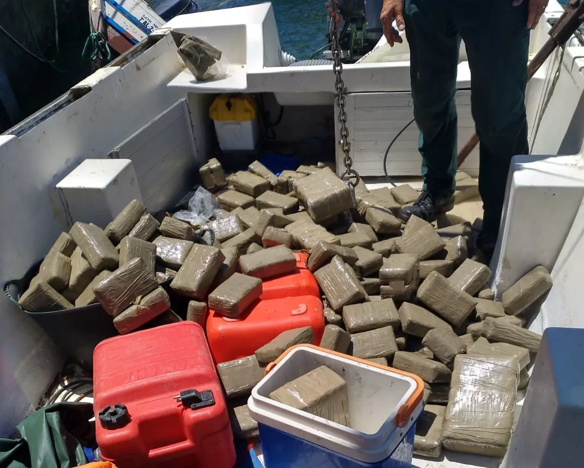 noticias cadiz hachis24.jpg