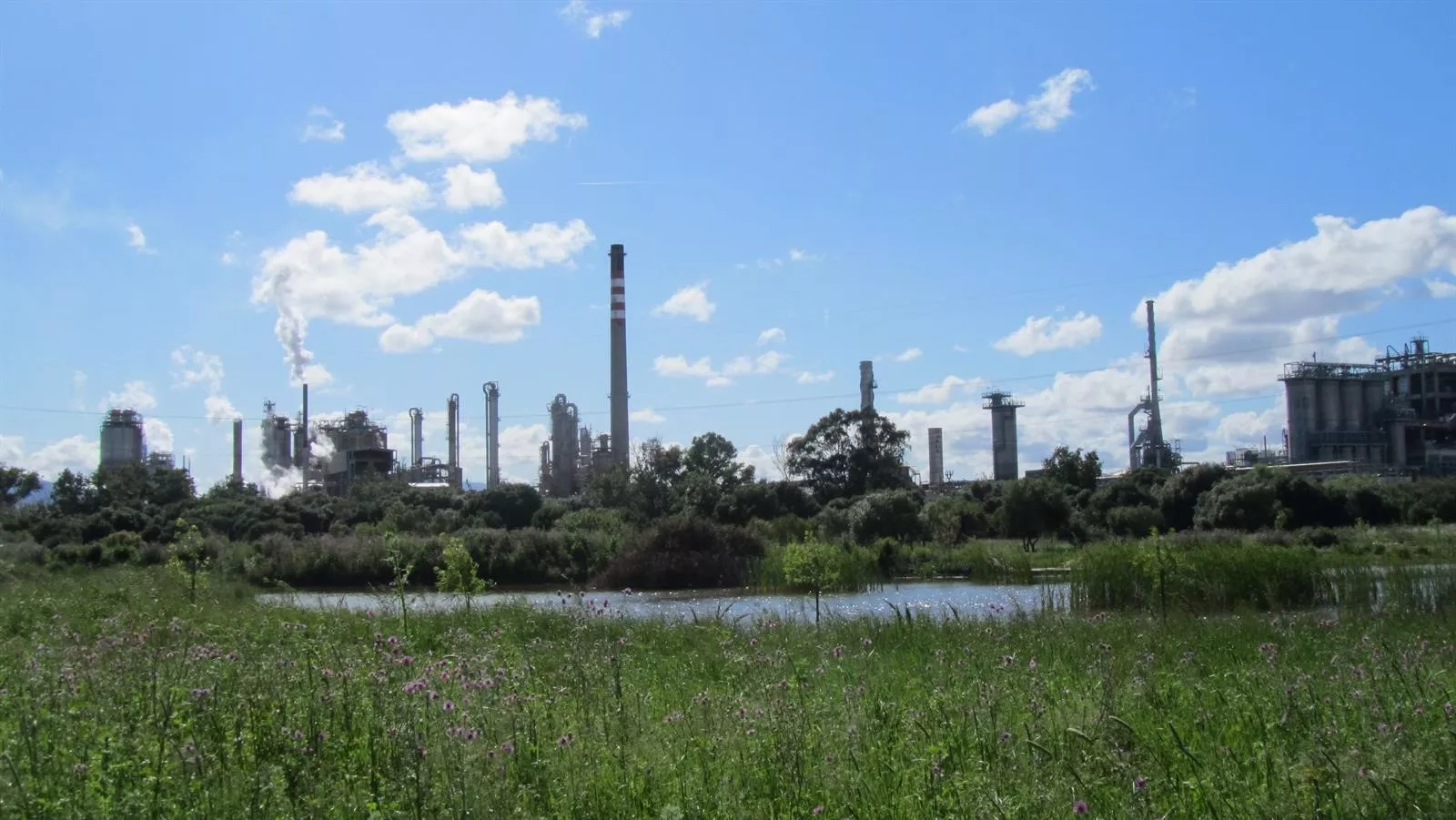 noticias cadiz indorama.jpg