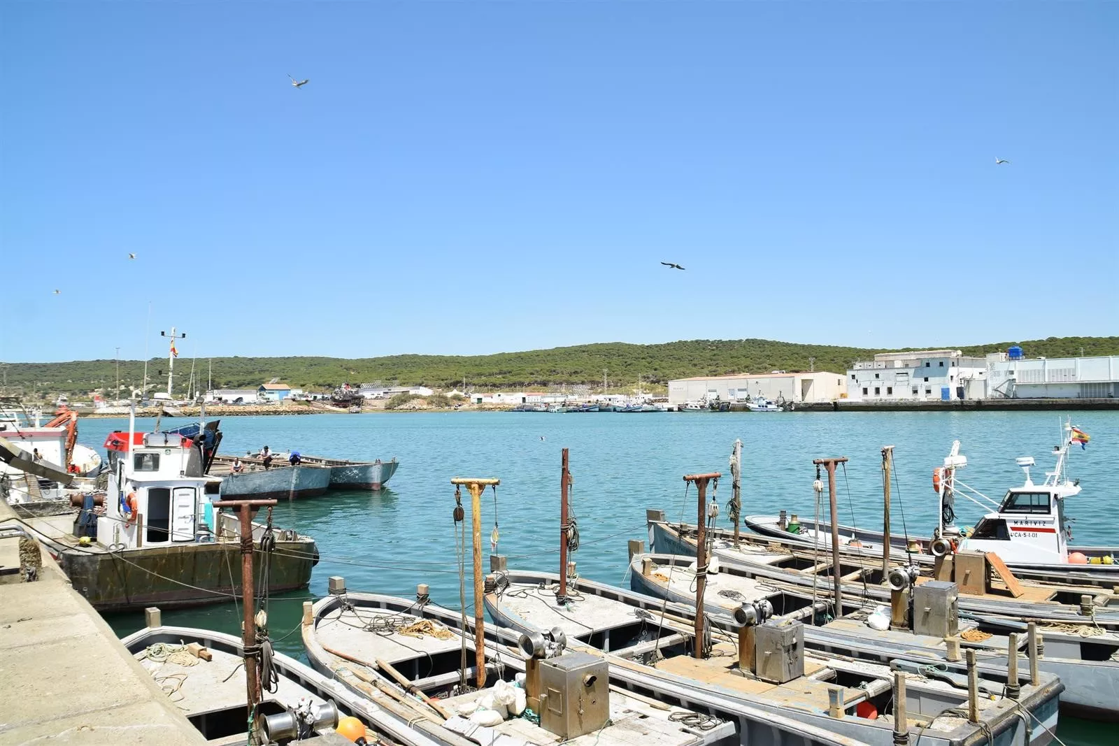 noticias cadiz puerto de barbate.jpg