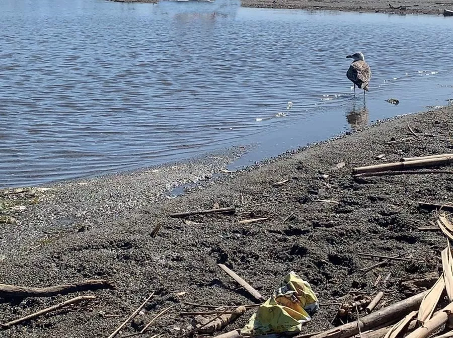 noticias cadiz rio.jpg