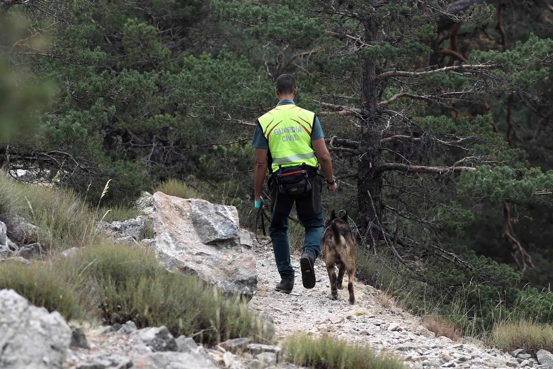 noticias cadiz rastreo guardia civil_0.jpg