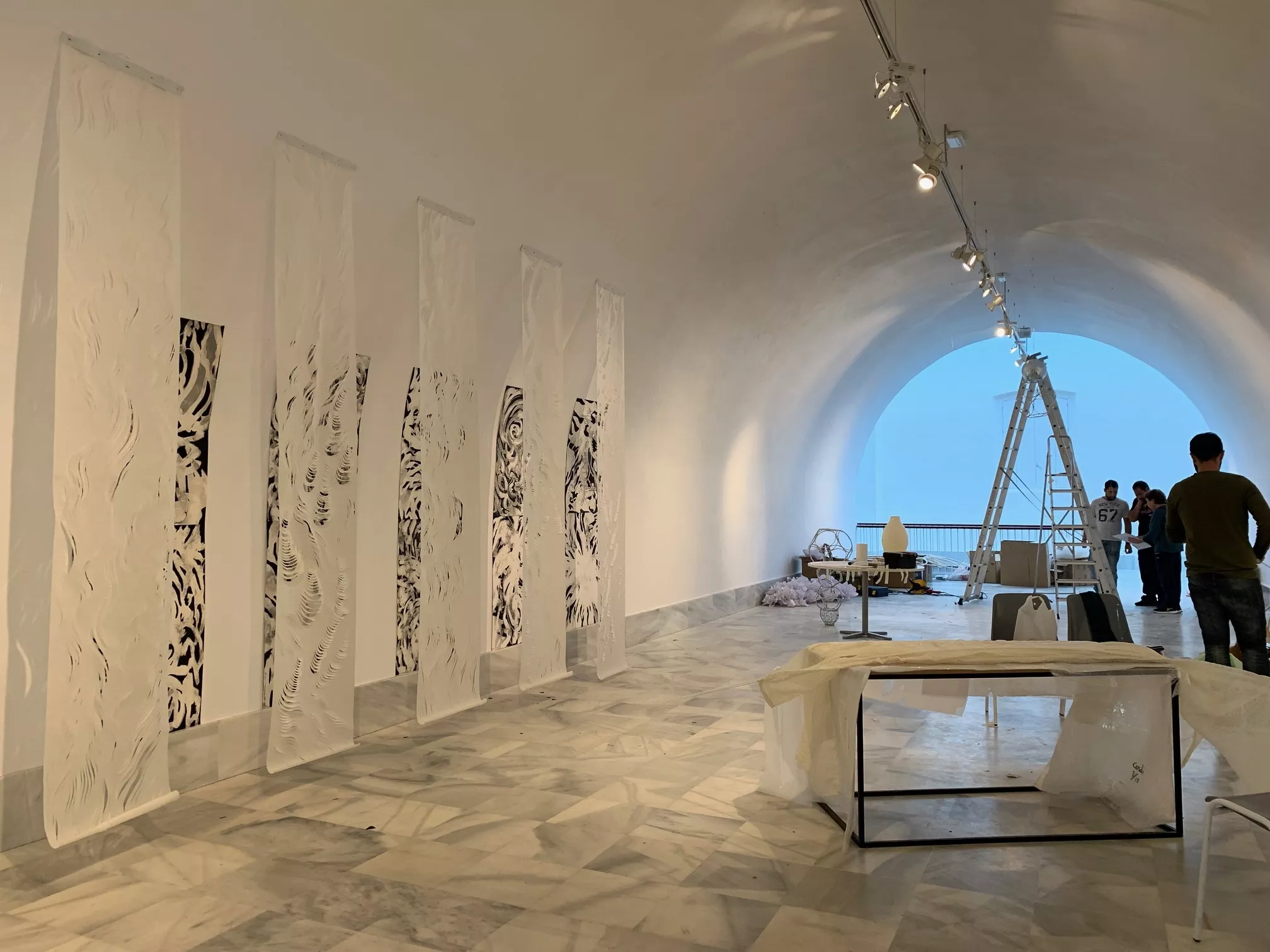 noticias cadiz apis allifera.jpg