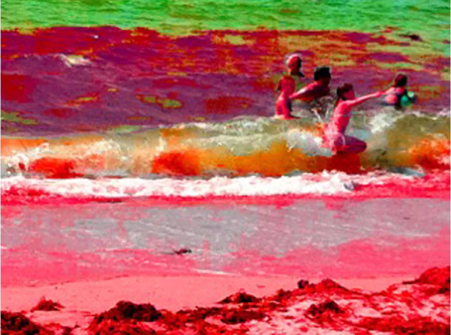 noticias cadiz expo _0.jpg