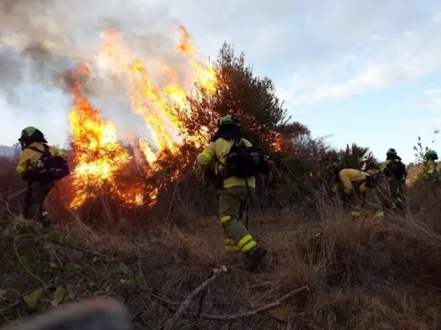 noticias cadiz infoca_5.jpg